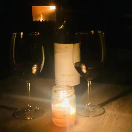 Dr Genius Chalet Negotin