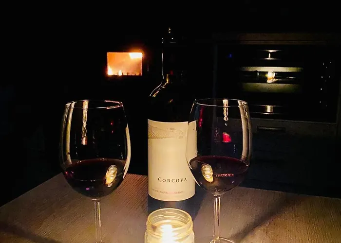 Dr Genius 샬레 네고틴