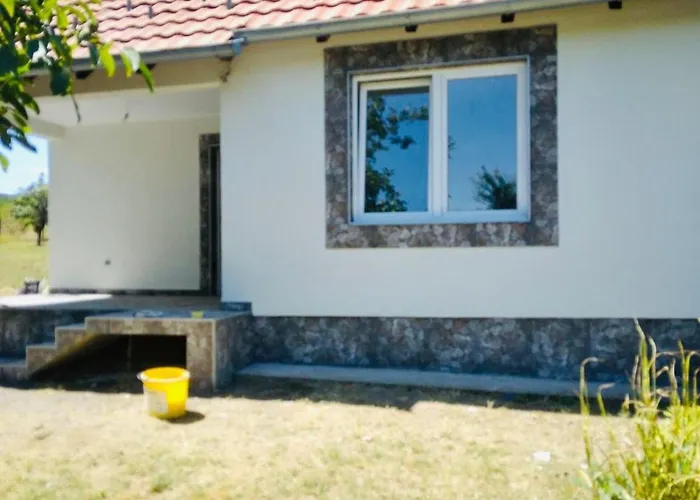 샬레 Dr Genius 네고틴