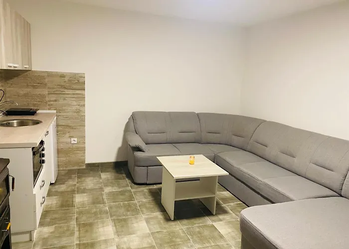 Dr Genius 샬레 네고틴